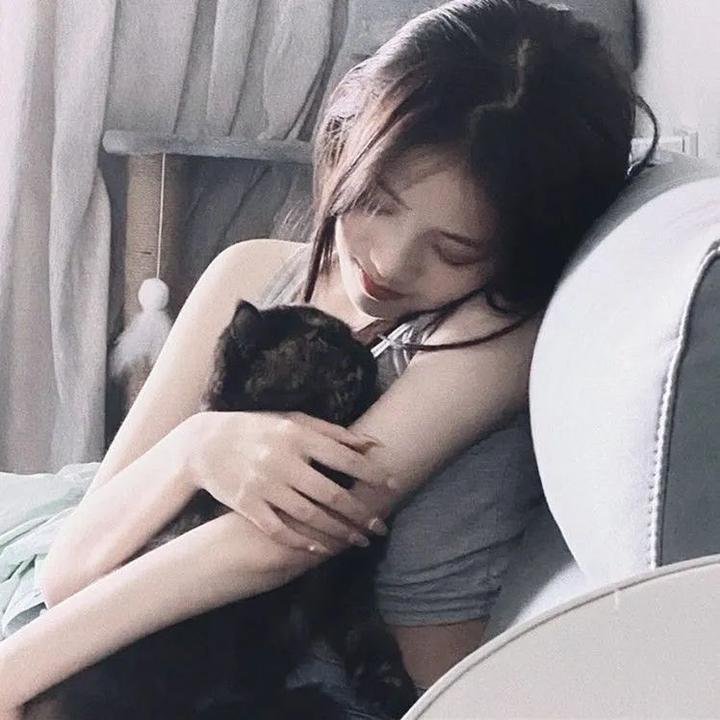 总统的蛋糕